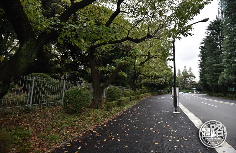 明治神宮外苑可謂多功能公園，內裡有運動設施、美術館及兒童公園遊樂設施