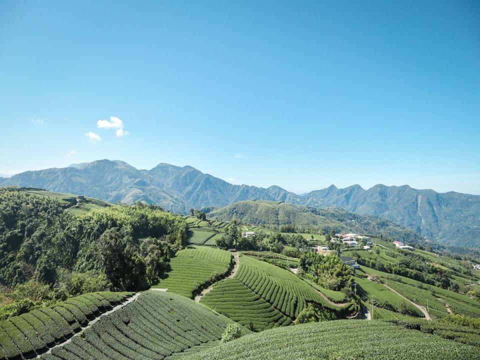 海鼠山1314觀景台擁有360度零死角的茶園景致，還有一座寫滿18國語言「我愛你」的浪漫愛情塔。（圖：嘉義縣文觀局提供）