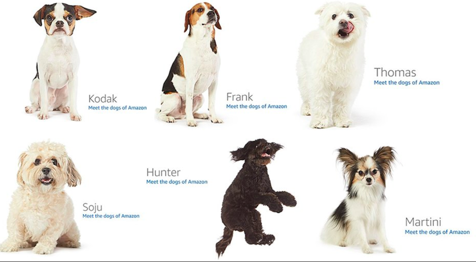 The dogs on Amazon’s 404 image.