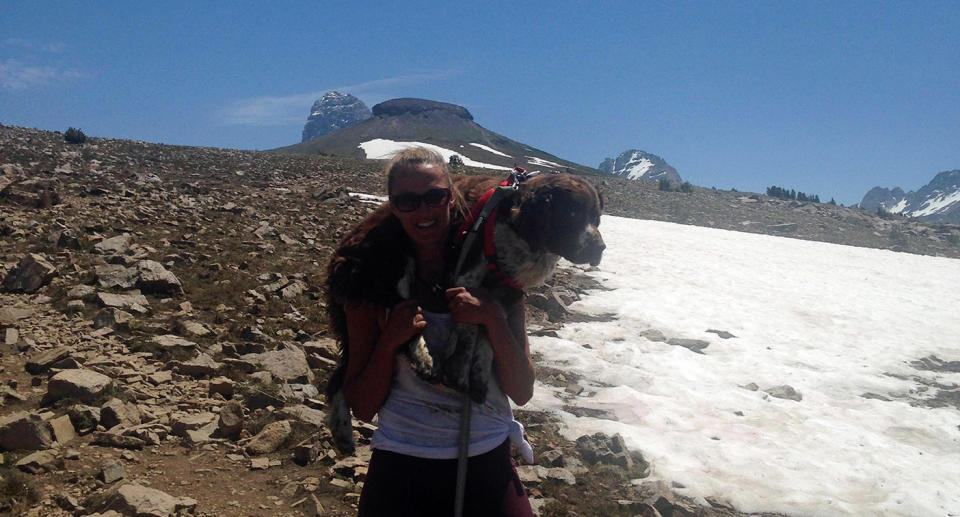 Ms Vargas carried the English Springer Spaniel dog, Boomer, down the mountain and later adopted the pooch