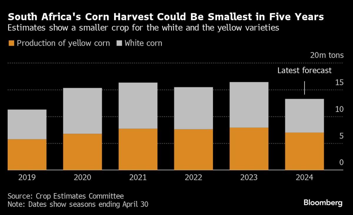 El Niño faz com que moinhos sul-africanos procurem milho brasileiro