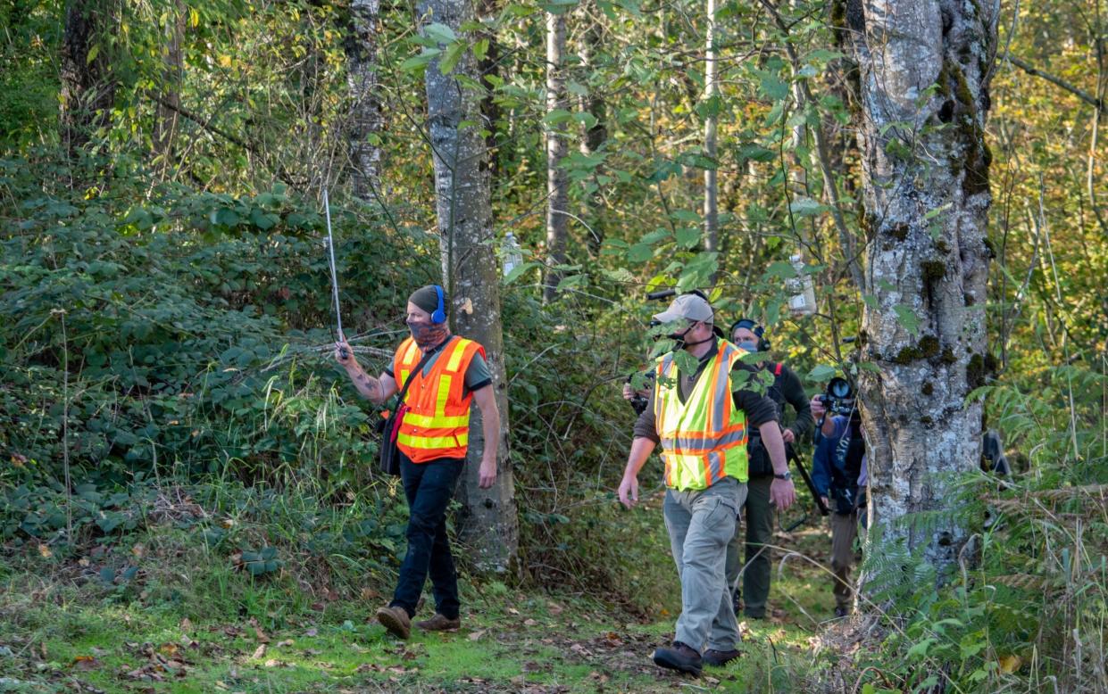 Workers in Washington use an antenna to follow an Asian hornet wearing a tracking device