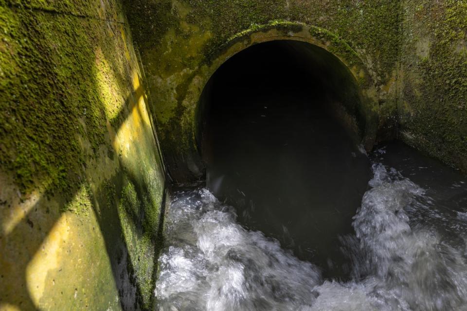 Sewage is discharged into Earlswood brook from the nearby treatment works, run by Thames Water on April 13, 2023 in South Earlswood, England. (Getty Images)