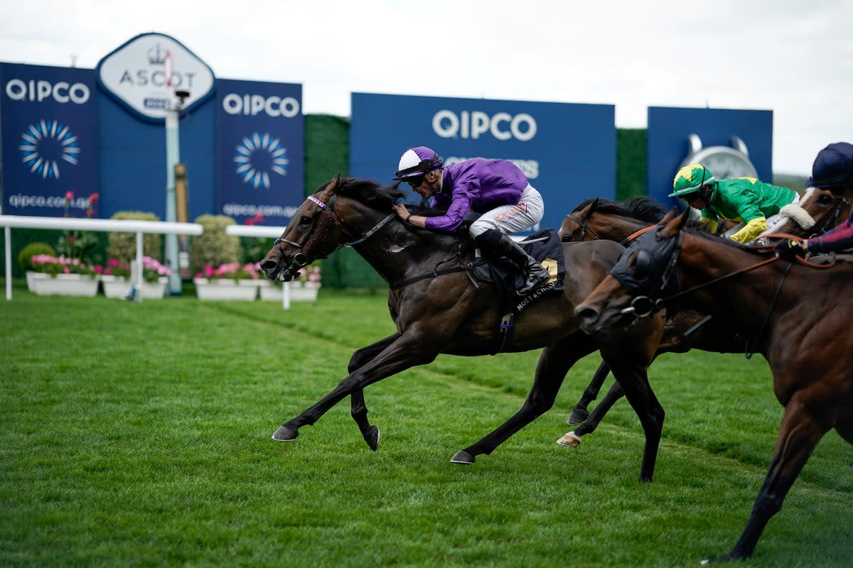 Baradar is back in action at Doncaster on Saturday (Getty Images)