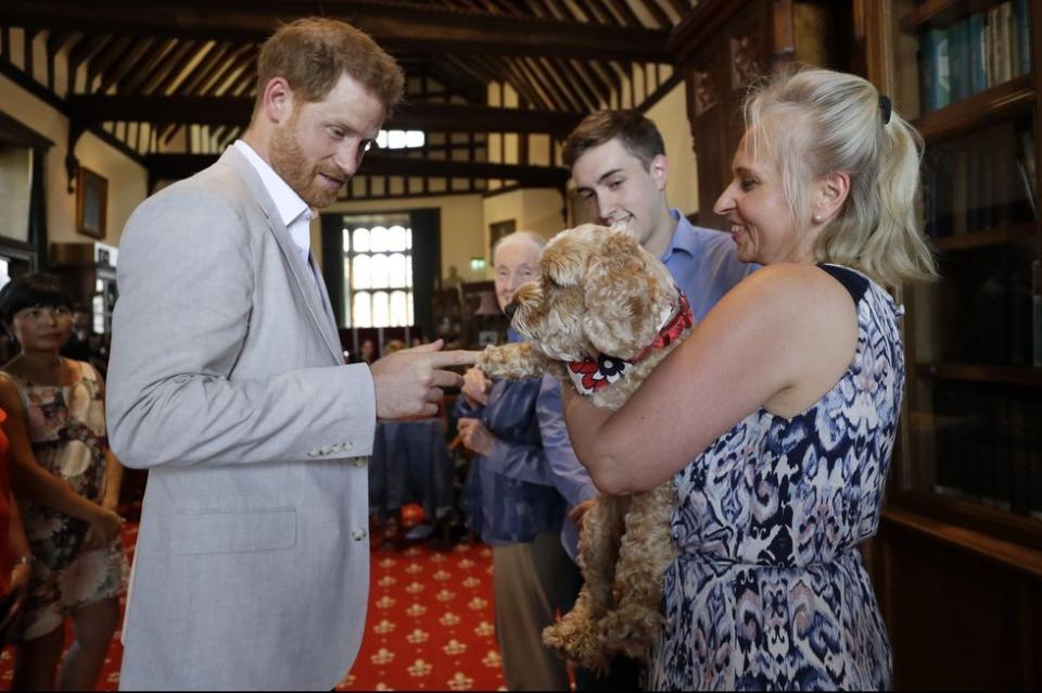 See All the Best Photos of Prince Harry Meeting with Legendary Environmentalist Jane Goodall