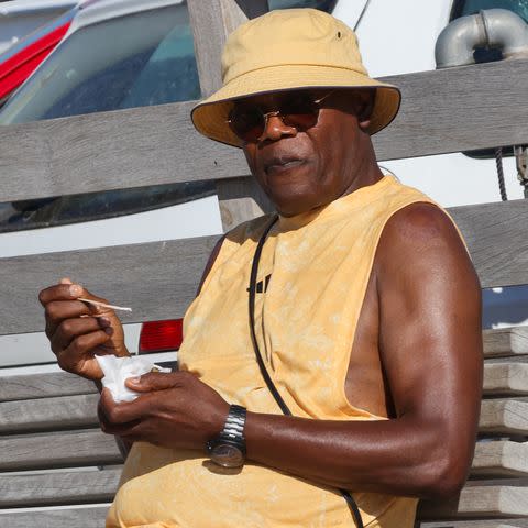 <p>TheImageDirect.com</p> Samuel L. Jackson