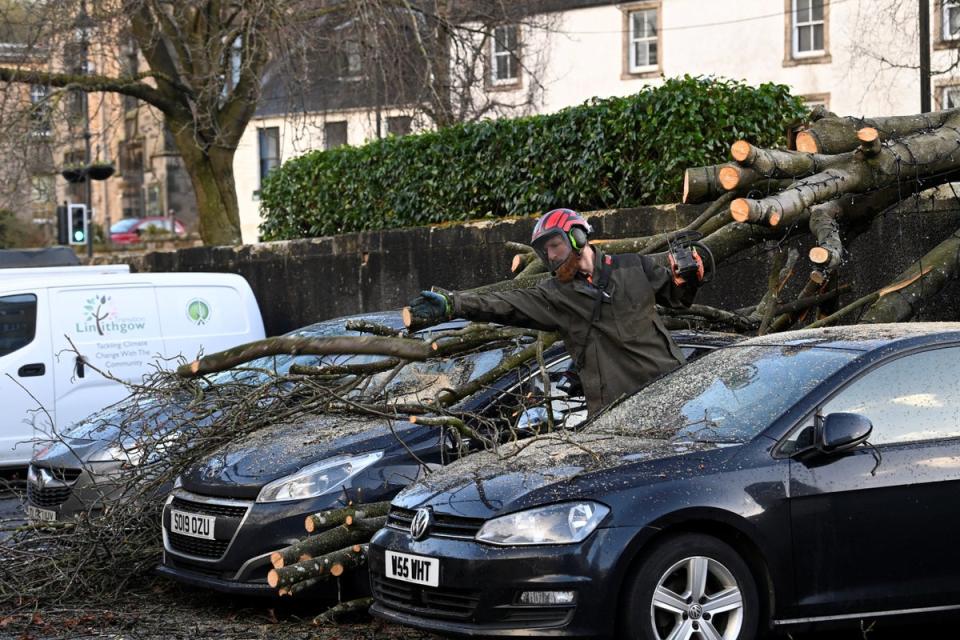 The strong winds caused trees to come down in many areas. This was the scene in Linlithgow, West Lothian (Reuters)