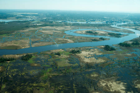 Flooding is seen in and around Wilmington, North Carolina, U.S., September 19, 2018 in this picture obtained from social media on September 21, 2018. ALAN CRADICK, CAPE FEAR RIVER WATCH/via REUTERS