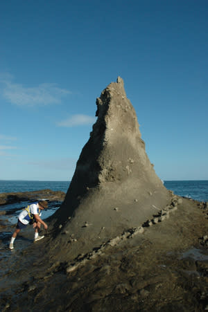 A paleontologist looks for 7-million-year-old fossils on Finger Island, just off Panama's Caribbean coast. Fossils found in this rock look like those on the Pacific side, suggesting that the Isthmus of Pa