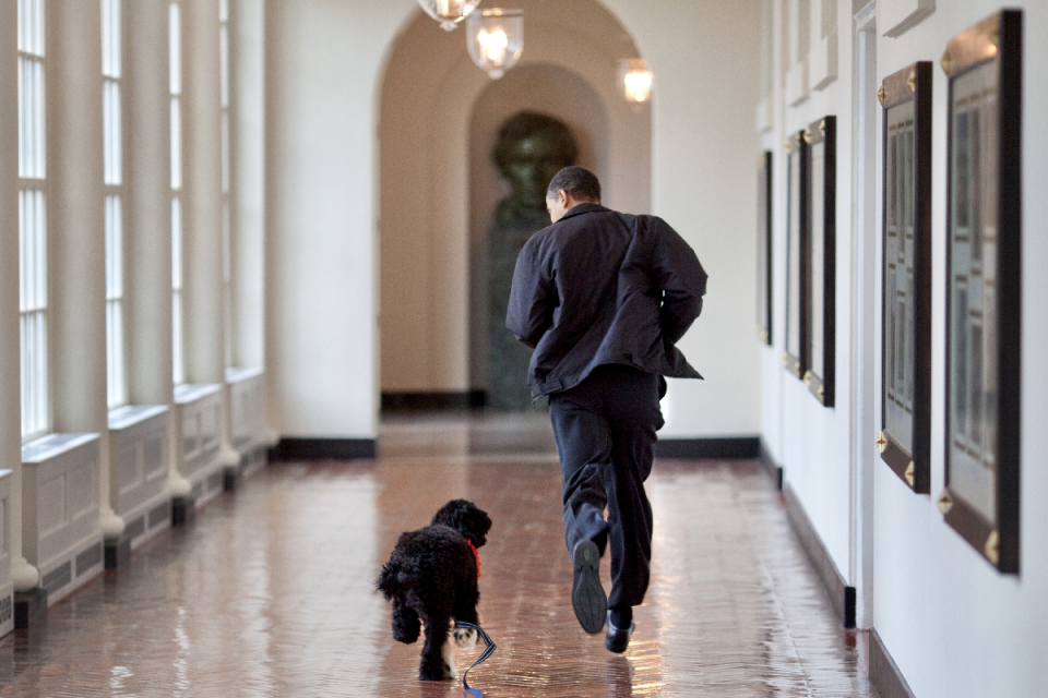 <p>愛犬「波」不敵癌症離開人世，歐巴馬一家悲痛萬分。（圖／Twitter@ BarackObama）</p>
