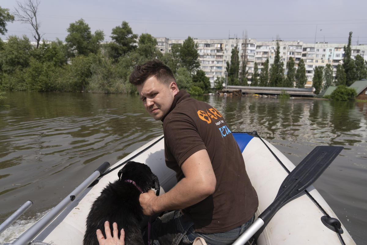 „Всеки живот трябва да се цени“: Доброволци се втурват да спасяват животни след срутването на язовирната стена в Украйна
