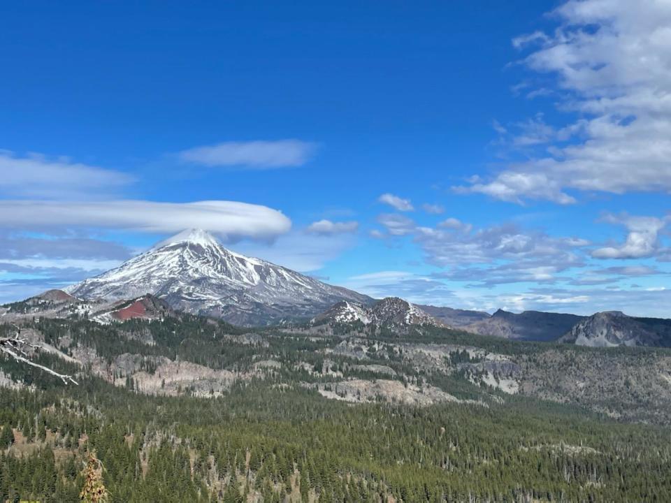 View of Mount Jefferson from the forgotten Brush Creek Trail.