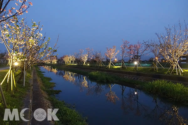 羅莊櫻花步道晚上約18:20分打燈 (圖片提供／宜蘭ㄚ欣的美食日誌)