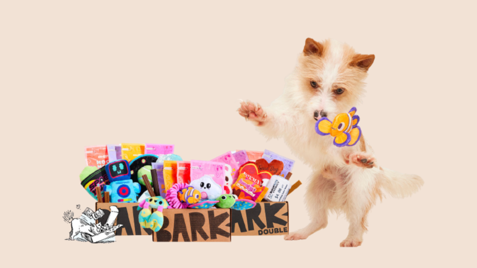 Sign up for BarkBoxBox and save with this special National Pet Day deal.
