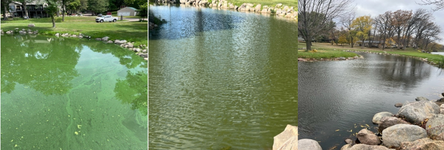 Nano Void ™ test cleaned up HOA pond in only 4 days - and even cleaner 1 month after