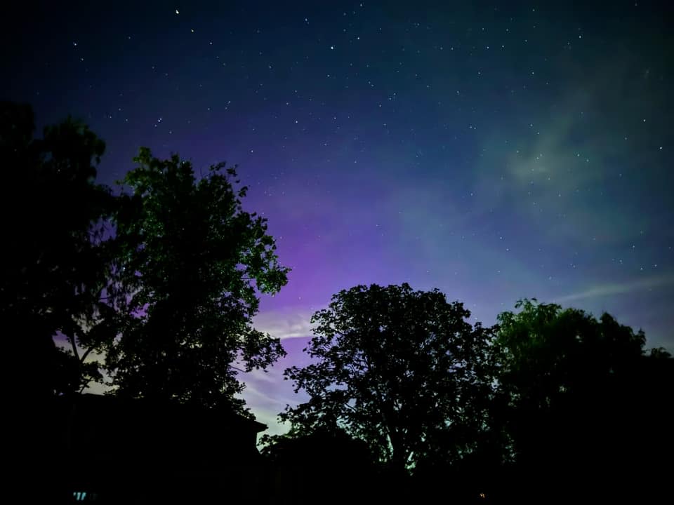 Trees with Northern Lights in background