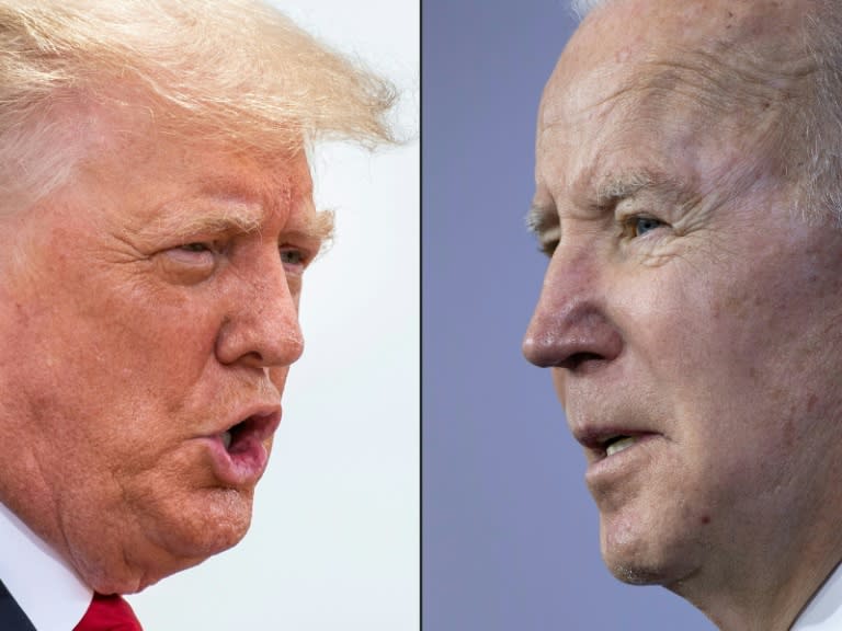Democratic President Joe Biden and Republican former president Donald Trump look set for a rematch in 2024 (Sergio FLORES)