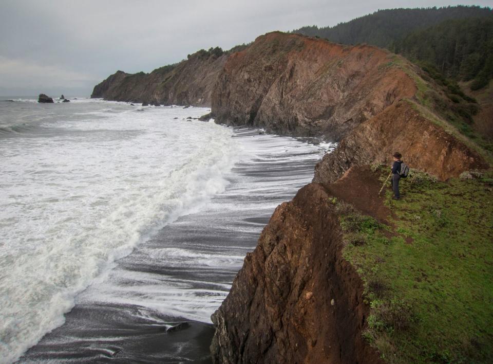 Shelter Cove: California