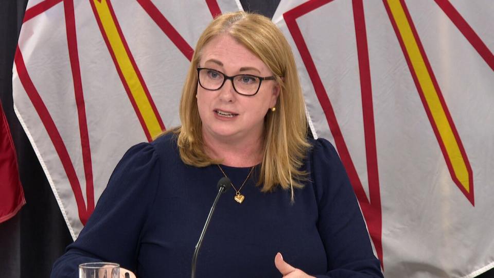 Newfoundland and Labrador Hydro CEO Jennifer Williams said work is continuing to ensure parts of the Churchill Falls power plant can be operated remotely. 