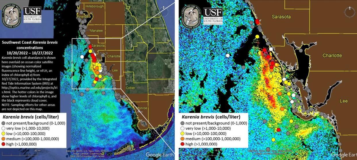 Red tide is blooming off the shore of some of the communities that were hit hardest by Hurricane Ian.