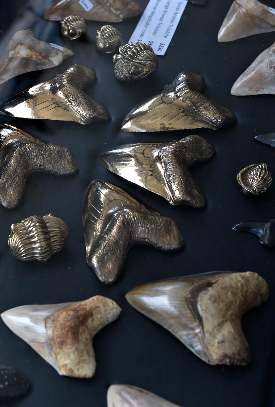 Bronze casting of megalodon shark teeth.