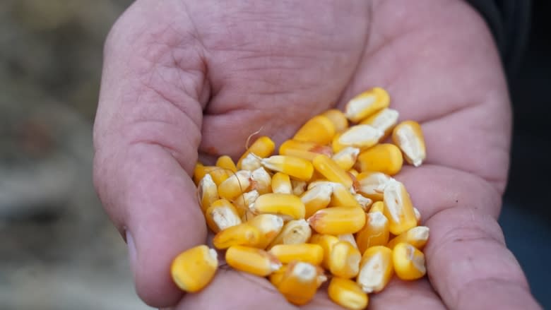 'We're a long way from Washington': A Missouri corn farmer frets about NAFTA talks