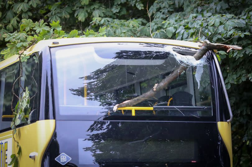 Dramatic pictures from the scene show how the branch ploughed through the top deck