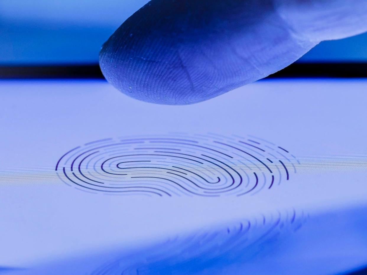 fingerprint online cybersecurity