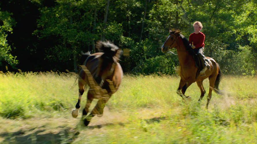 Out-Stealing-Horses