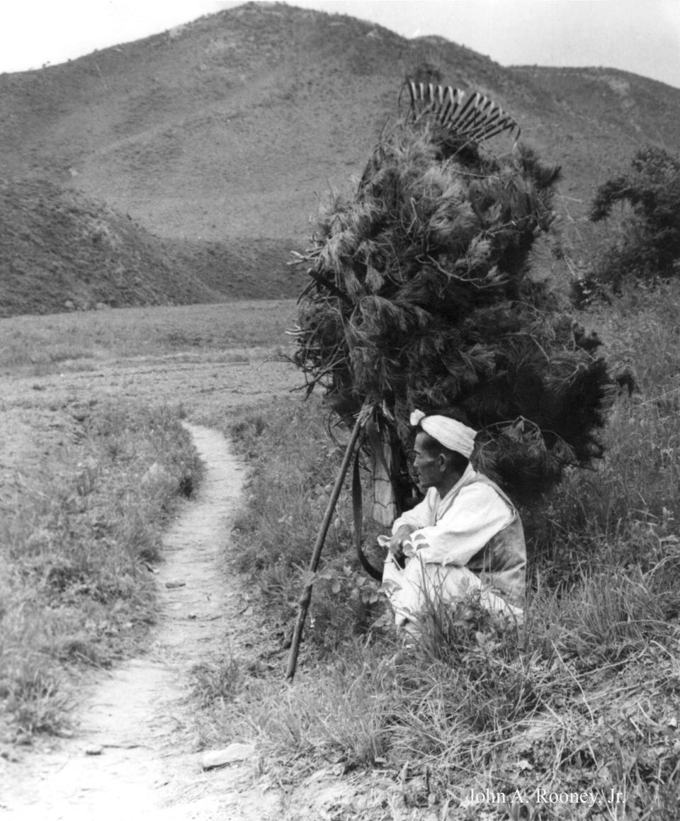 A Korean man rests after he carried a large load of firewood.