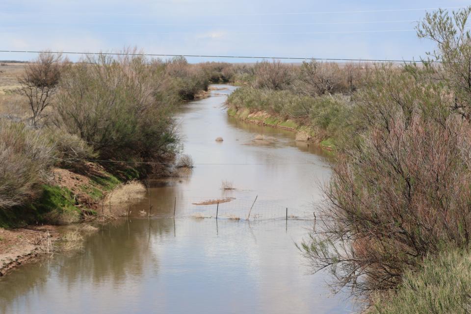 The Pecos River flows east of Artesia on April 2, 2024. The Eddy County Board of County Commissioners approved sending a letter to the federal Bureau of Reclamation to pay for replacing gates at Sumner Dam for the Carlsbad Irrigation District.