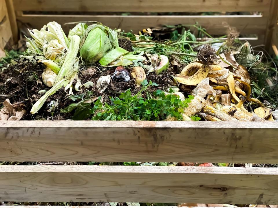 vegetables in compost heap