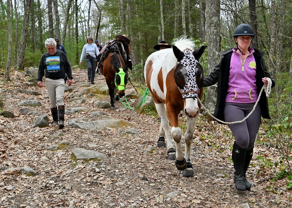 Sara DiPietro of Burrillville, R.I., walks with her horse, Hunter, after an accident along a trail Wednesday at Douglas State Forest.