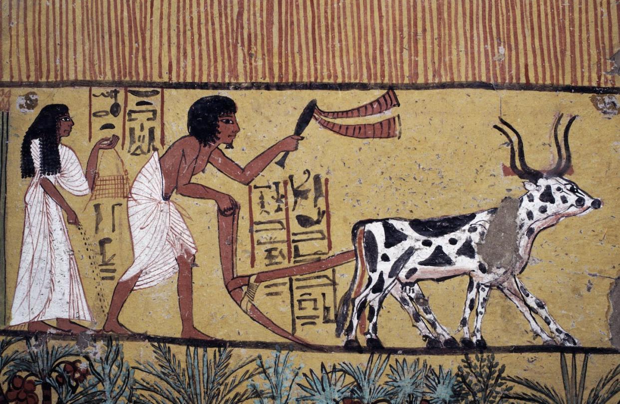 Natural records suggest a cooling trend was underway thousands of years ago. <a href="https://www.gettyimages.com/detail/news-photo/ploughing-scene-wall-painting-tomb-of-sennedjem-valley-of-news-photo/475591523" rel="nofollow noopener" target="_blank" data-ylk="slk:DeAgostini/Getty Images;elm:context_link;itc:0;sec:content-canvas" class="link ">DeAgostini/Getty Images</a>