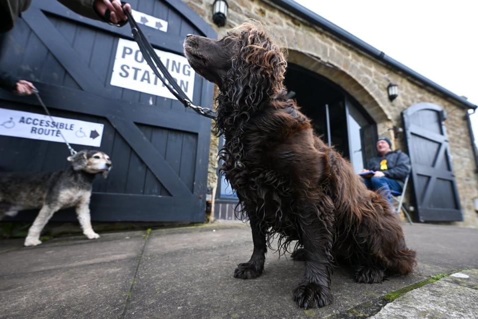 A polling station (Getty Images)
