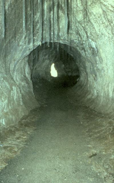 The Thurston (Nahuku) lava tube, shown here, is near the Kīlauea Volcano in Hawai‘i Volcanoes National Park. A Hawaii man was found dead Monday, Nov. 4, 2019 falling into a lava tube in his yard in Hilo. | United States Geological Survey