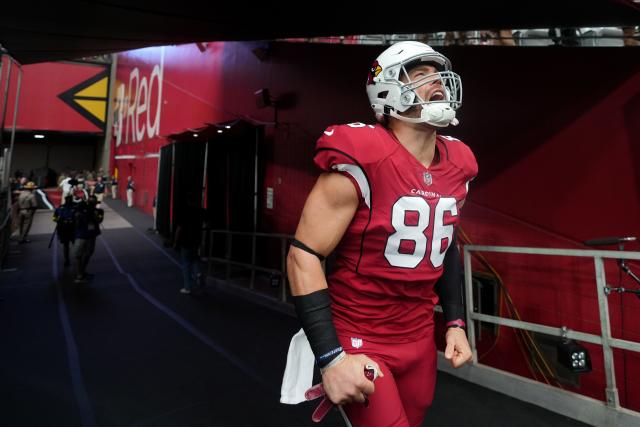 Arizona Cardinals sign Austrian tight end Bernhard Seikovits via