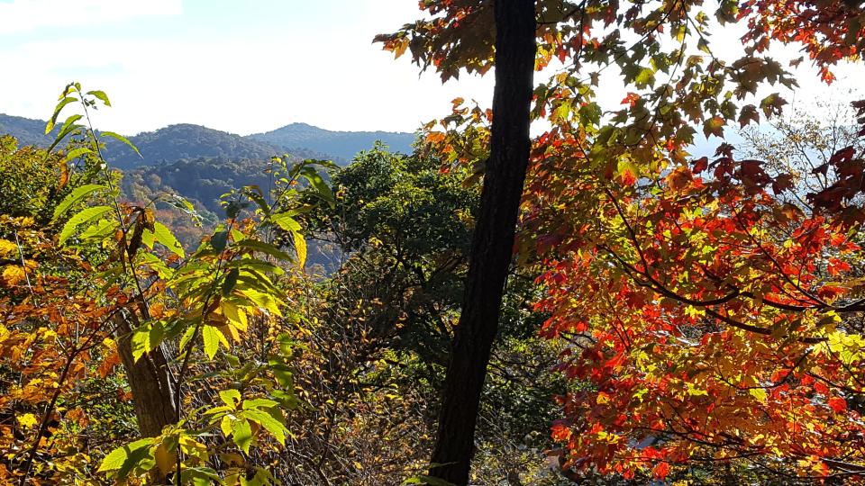 A look at the fall color along the Mount Pisgah trail in Oct. 2023.