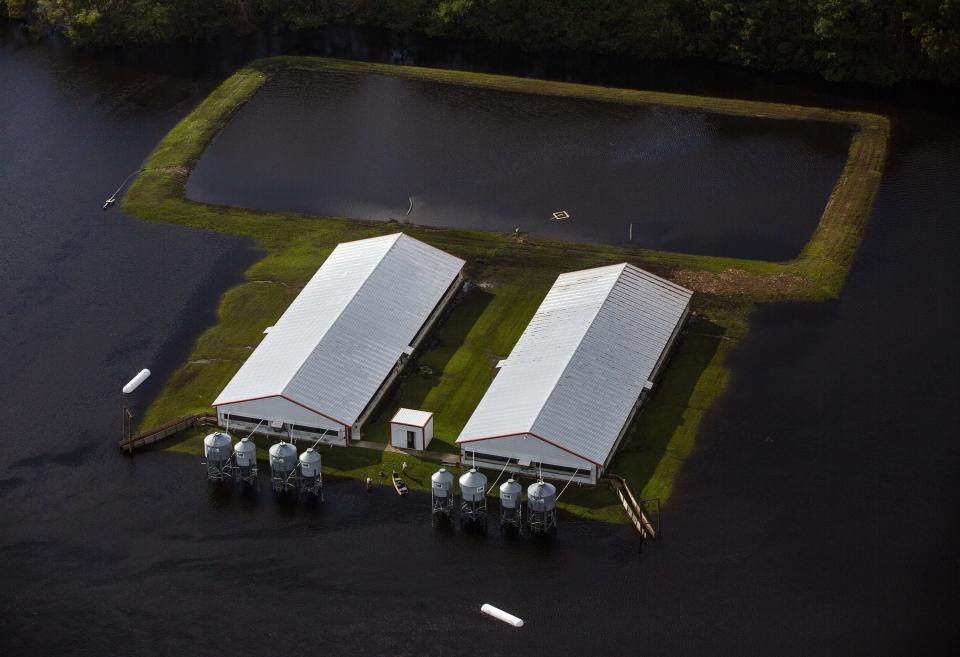 This Sept. 17, 2018, photo shows flood waters from Hurricane Florence surround two hog houses and its lagoon near Kinston, North Carolina. (Photo: Casey Toth/The News Observer via AP)