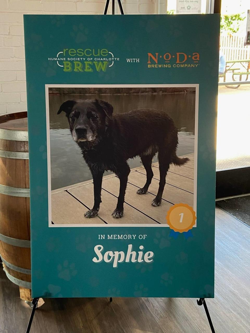 A sign at NoDa Brewing’s Rescue Brew release party honored Sophie as the Top Dog.