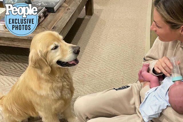 <p>Courtesy of Erin Andrews</p> Erin Andrews feeding her son Mack Roger Stoll while her dog Howard looks on.