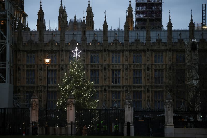 A Christmas tree illuminated by lights can be seen within the grounds of the Houses of Parliament, amid the coronavirus disease (COVID-19) outbreak, in London