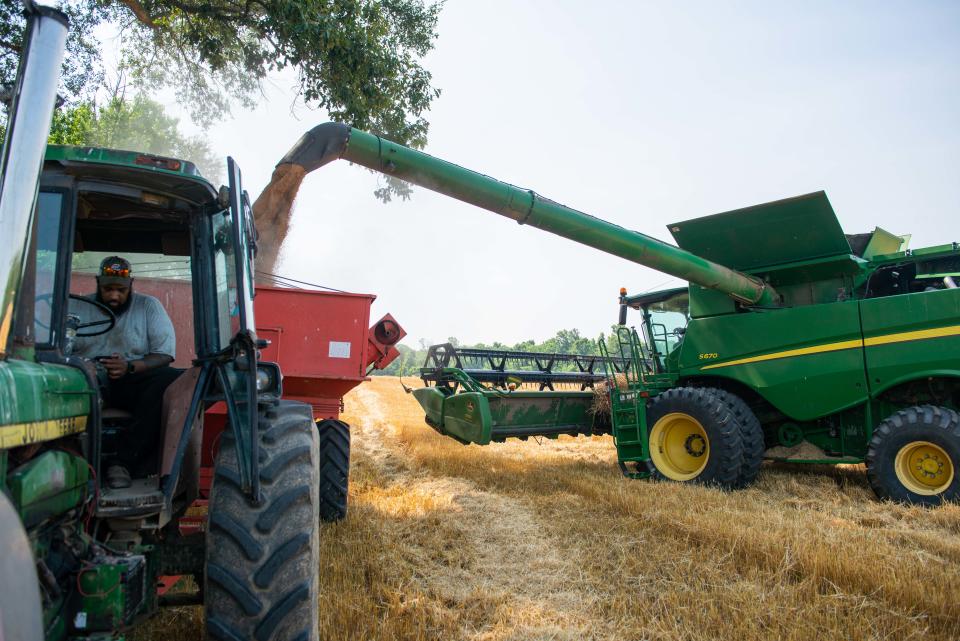 Harvested wheat gets transported into a chassis on the Sanderlin family farm in Stanton, Tenn., on Friday, Jun. 9, 2023.