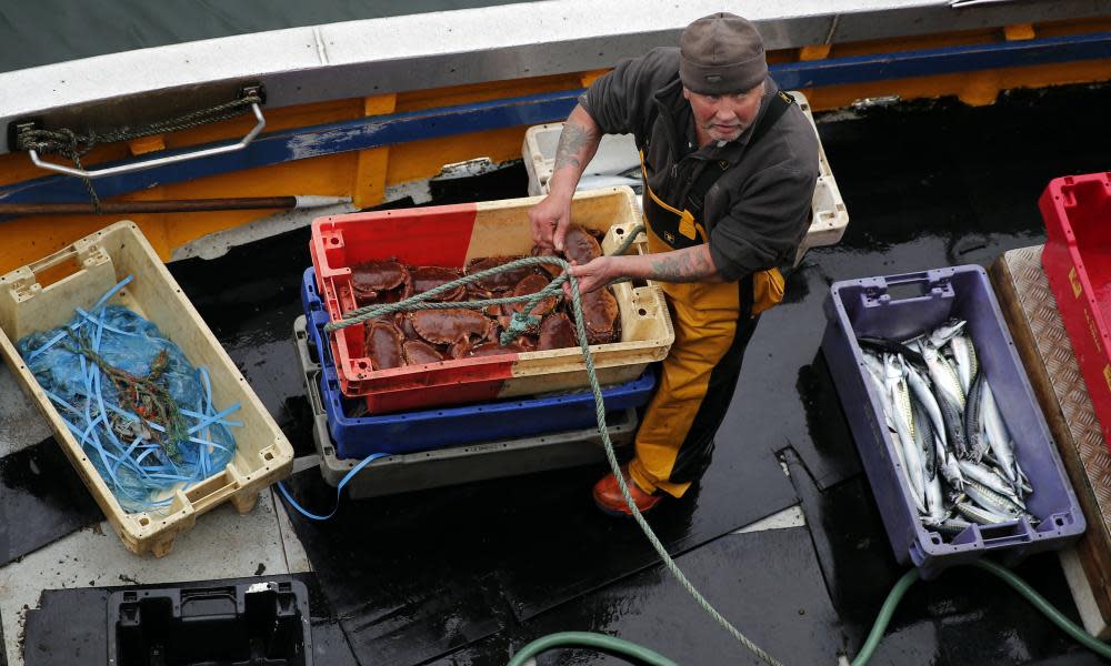 <span>Photograph: François Mori/AP</span>