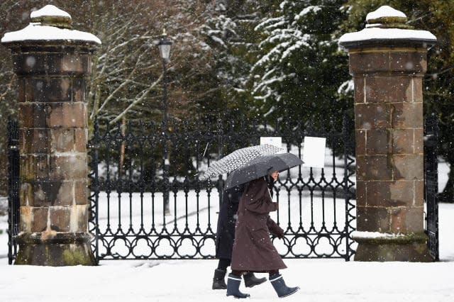 Britain facing longest winter for 50 years with early arrival of Siberian swan