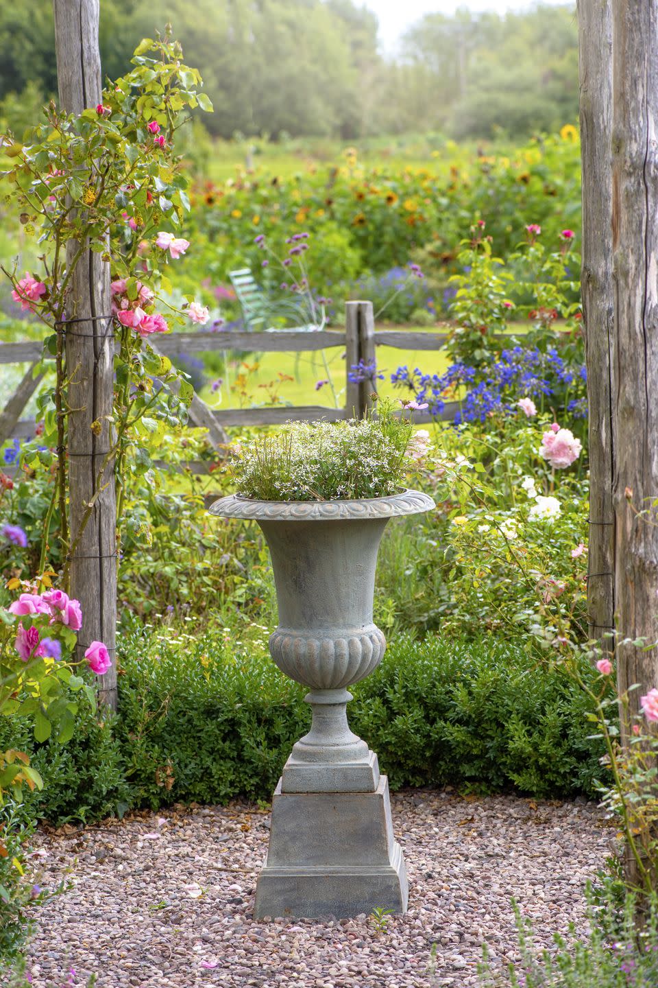 close up image of a concrete rustic garden planter in an english cottage garden with soft pink roses