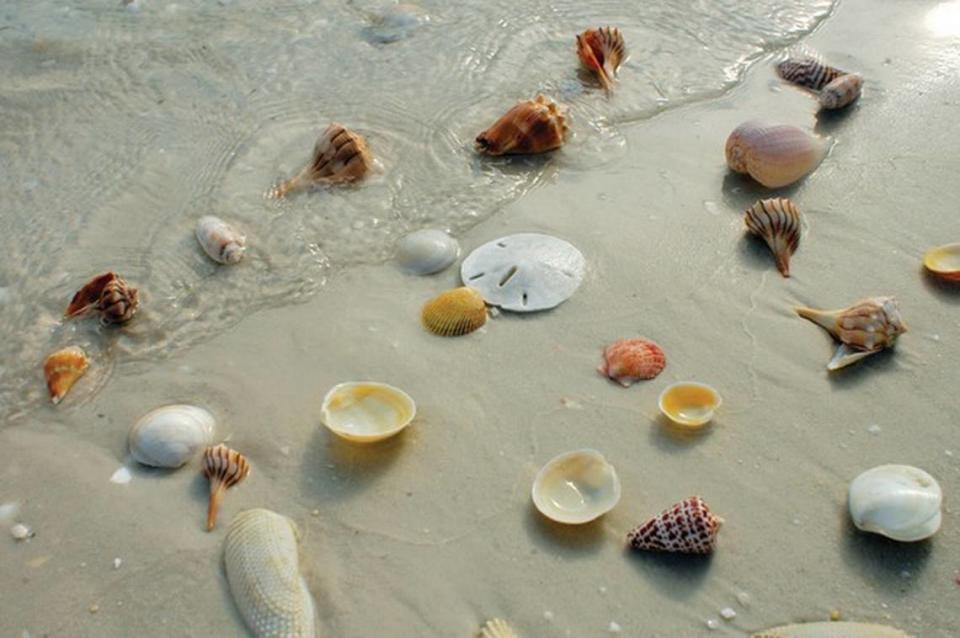 Naples’ beaches are part of its natural beauty.