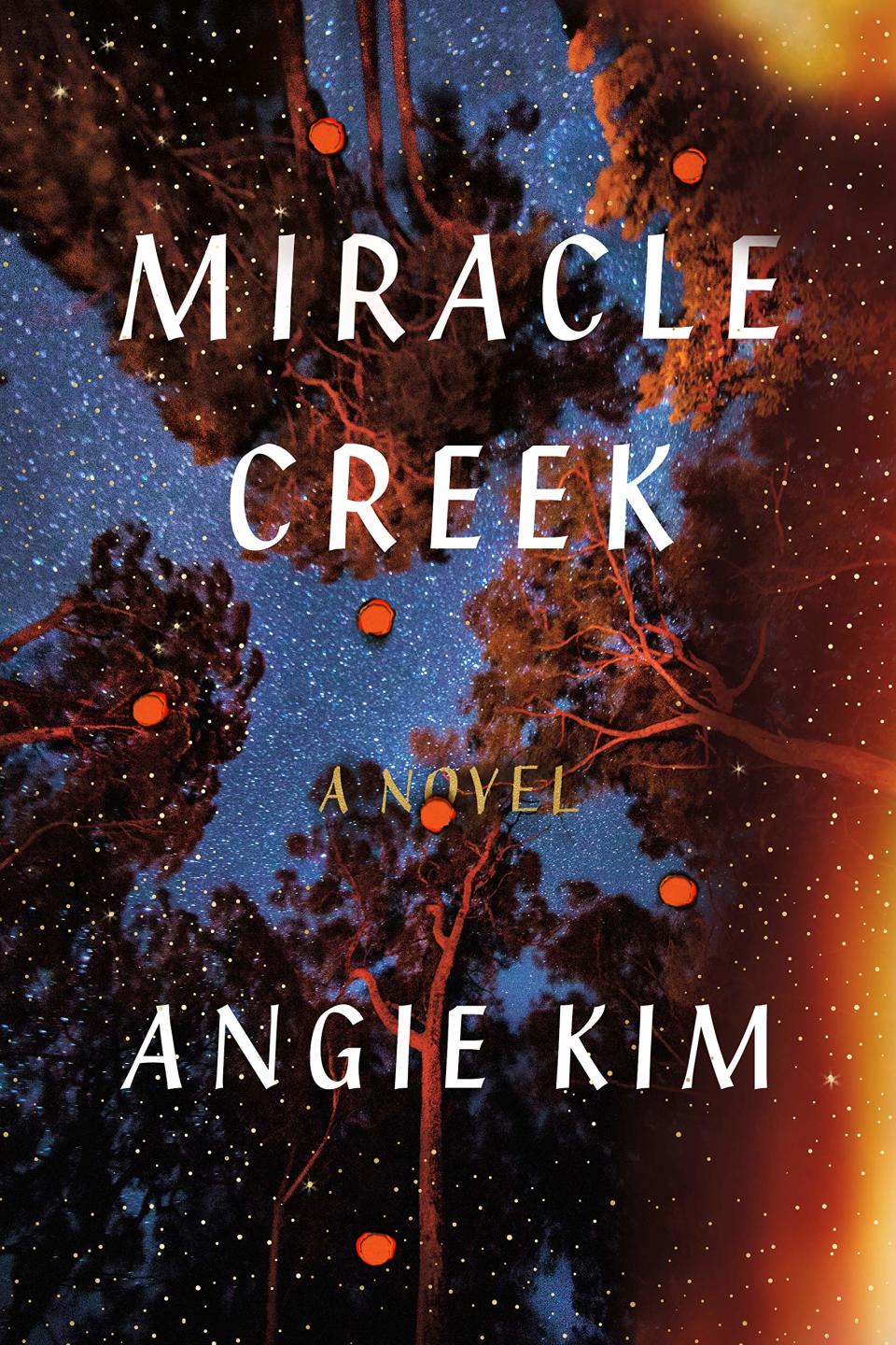 <a href="https://www.amazon.com/Miracle-Creek-Novel-Angie-Kim/dp/0374156026"><em>Miracle Creek</em> by Angie Kim</a>