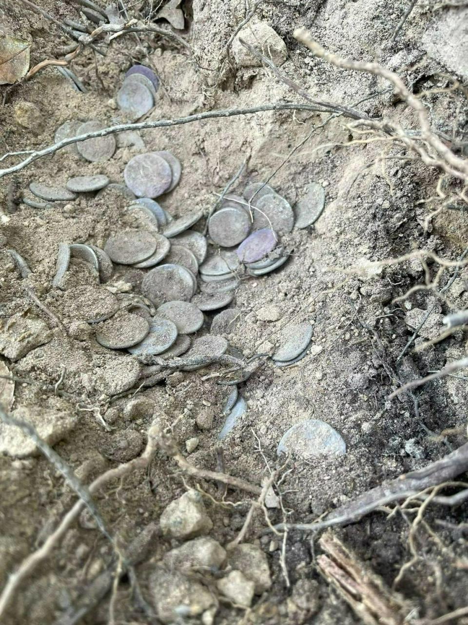Some of the coins partially-buried in the dirt. Photo from the Superintendence of Archaeology, Fine Arts and Landscape for the provinces of Pisa and Livorno