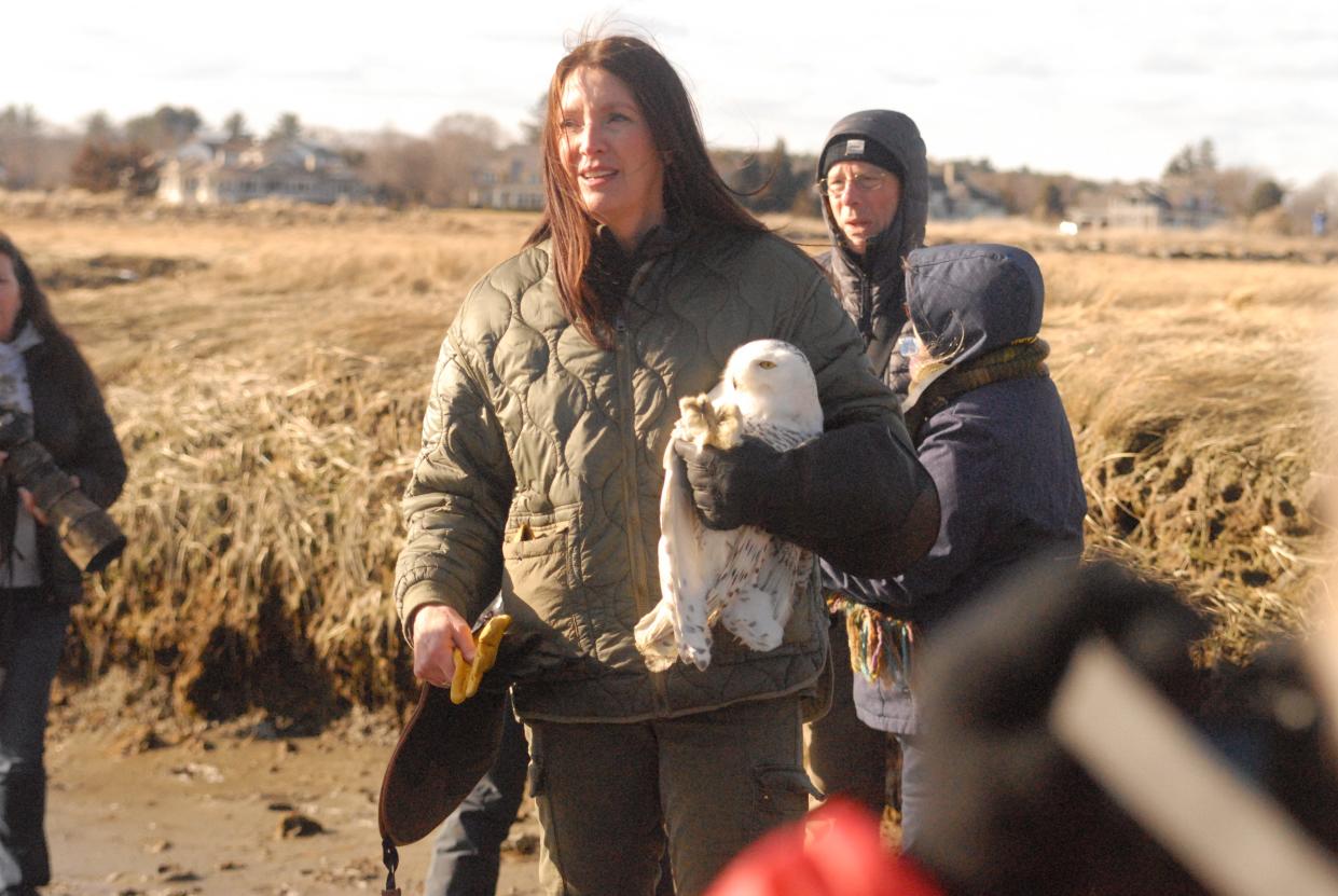 Jane Kelly, a raptor rehabilitator from On the Wing, holds a snowy owl ready to be released back into the wild in Rye, New Hampshire. The owl was found last month injured in Seabrook suffering from rodenticide poisoning.